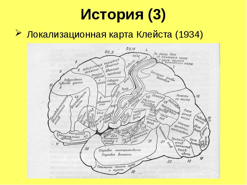 Локализационная карта клейста