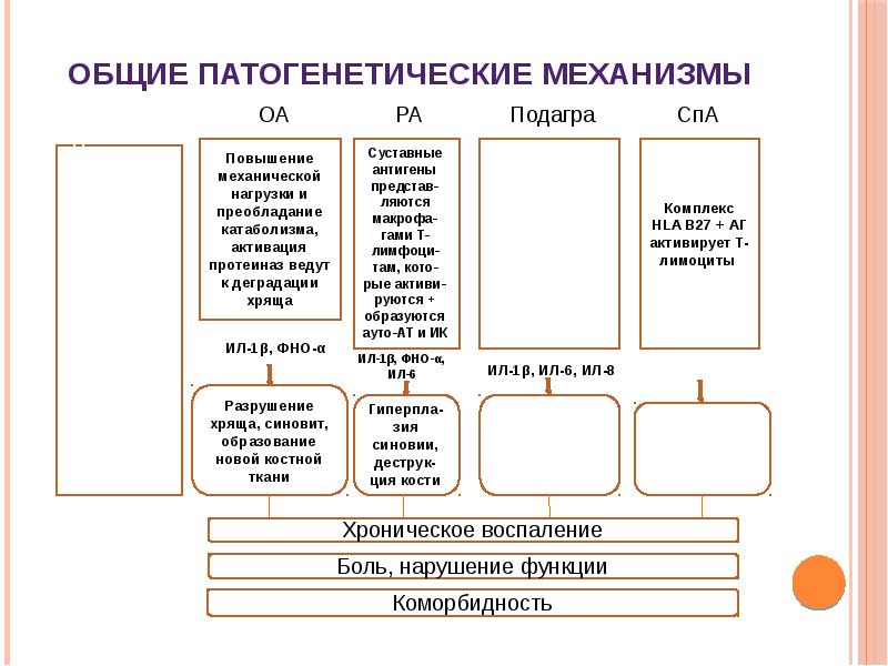 Диагностика заболеваний суставов презентация