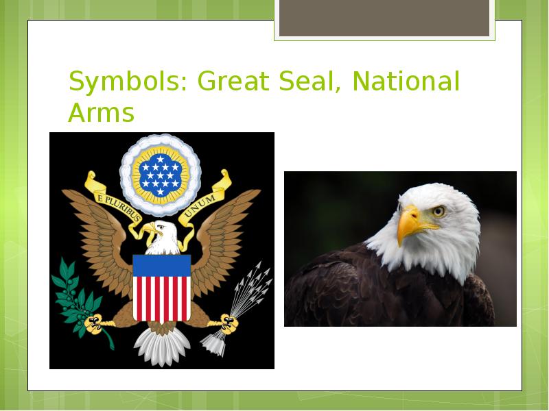 The symbols of the usa презентация