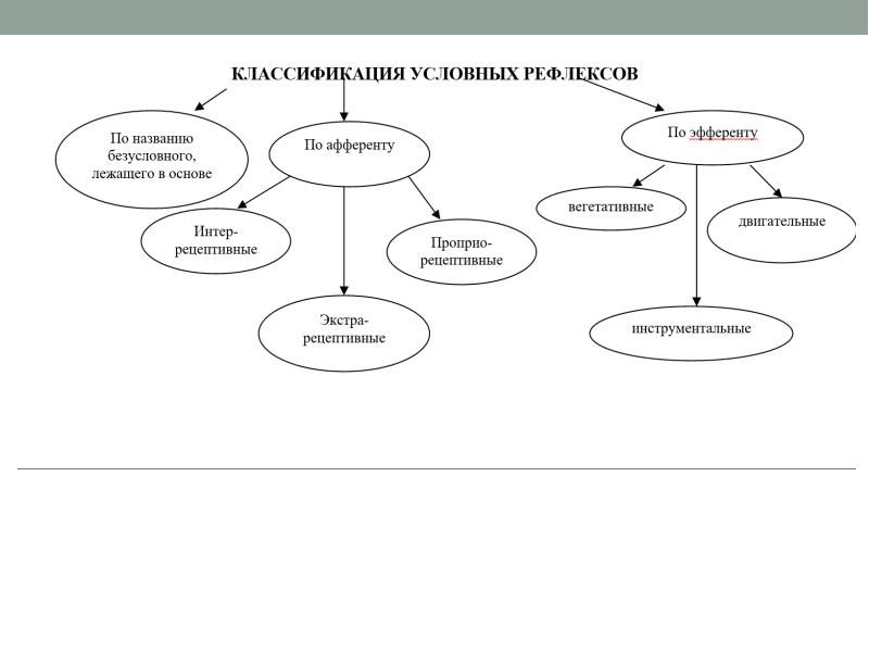 Классификация условных и безусловных рефлексов презентация