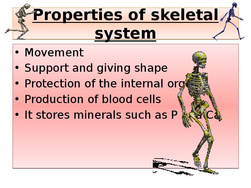 Properties of skeletal system
Movement
Support and giving shape
Protection of Properties of skeletal system
Movement
Support and giving shape
Protection of