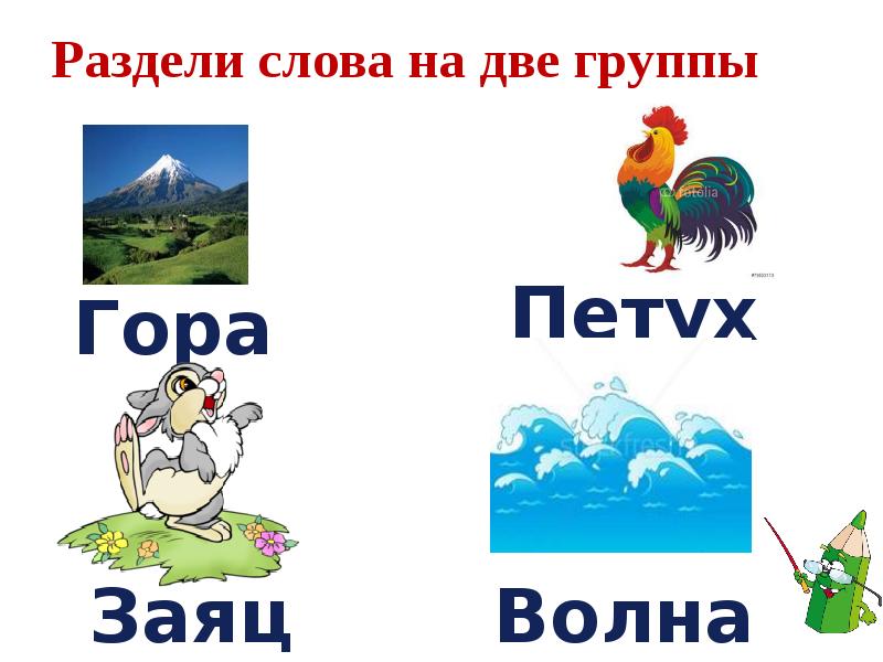 Слово петух звуки. Словарное слово петух в картинках. Словарное слово петух презентация. Петух словарное слово. Схема слова петух.