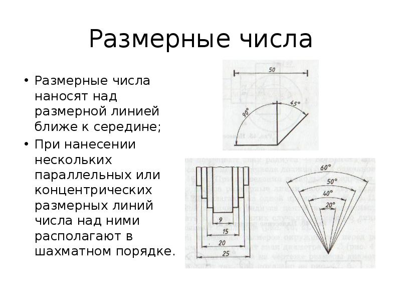 Размерное число правильно нанесено на рисунке