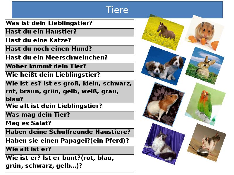 Wie ist er. Презентация по теме die Tiere. Тема животные на немецком языке. Немецкий язык домашние животные задания. Задания по немецкому животные.
