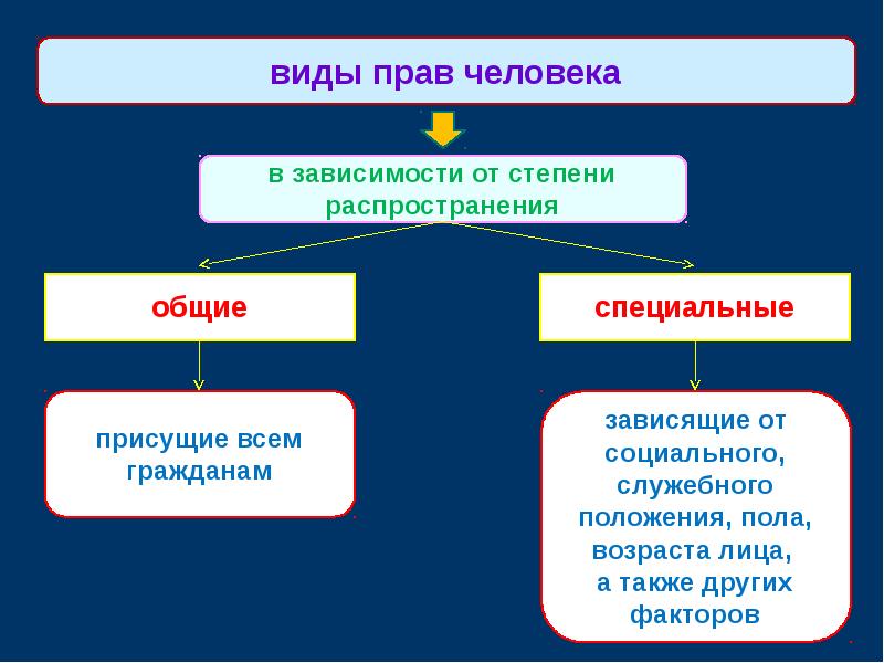 Презентация виды права