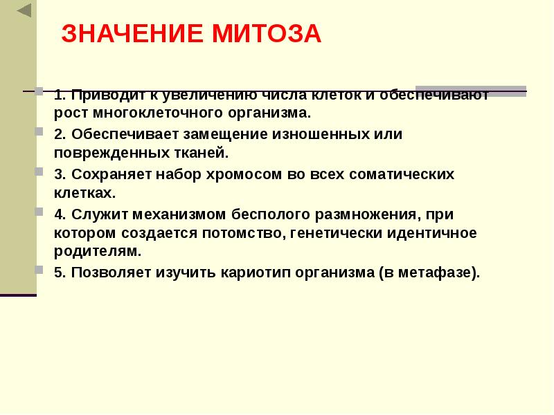 Увеличение числа клеток. Биологическое значение митоза кратко. Значение митоза. Биологическая роль митоза. Функции митоза.