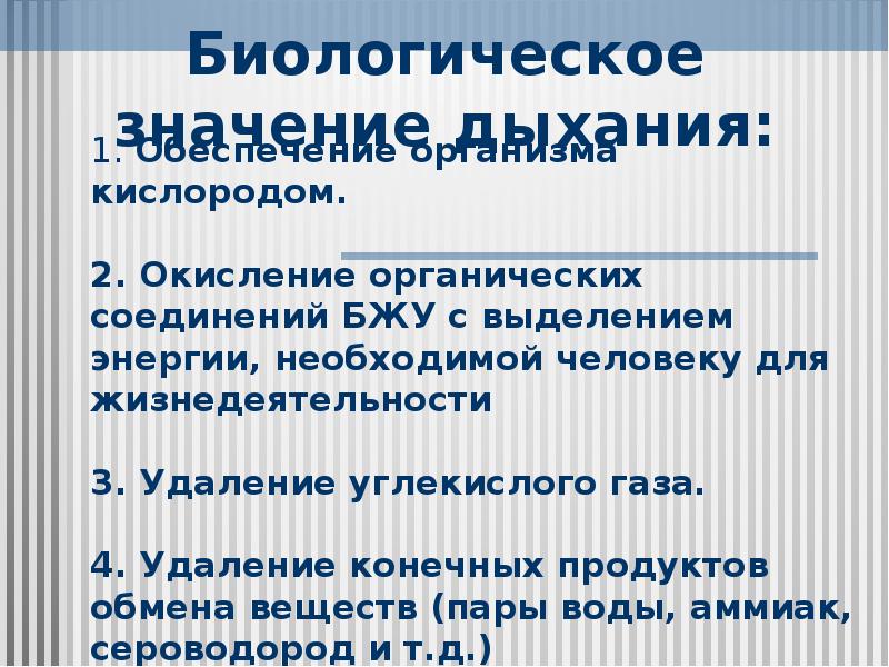 Класс значение. Строение и значение органов дыхания. Значение и функции дыхательной системы. Функции дыхания и значения. Значение дыхания органы дыхания.