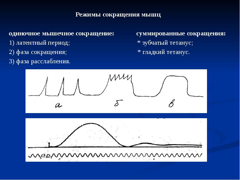 Виды и режимы сокращений