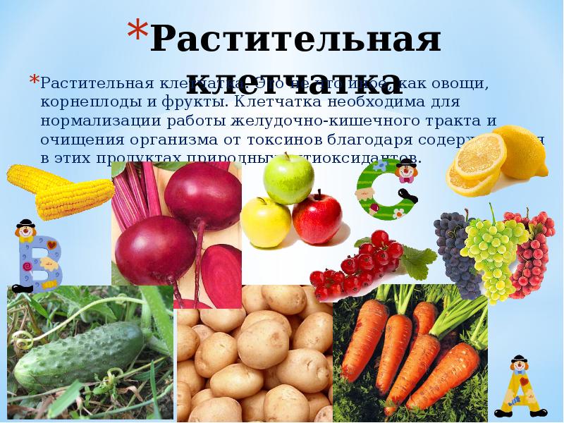 Растительная целлюлоза. Растительная клетчатка. Клетчатка в овощах. Продукты с растительной клетчаткой. Клетчатка у растений.