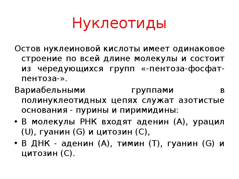 Одинаковая структура. Слова имеющие одинаковое строение. Вариабельные группы. Нуклеиновая кислота имеющая наибольшую длину и молекулярную массу. 6. Нуклеотид состоит из пентозы, азотистого основания и фосфата..