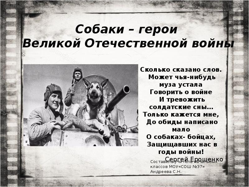 Собаки – герои Великой Отечественной войны Собаки – герои Великой Отечественной войны