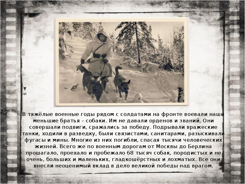 В тяжёлые военные годы рядом с солдатами на фронте воевали наши В тяжёлые военные годы рядом с солдатами на фронте воевали наши