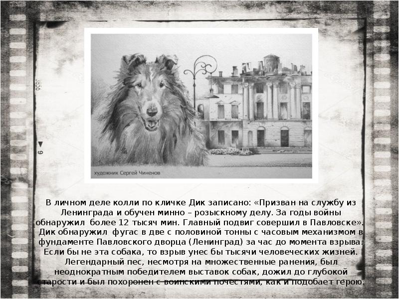 В личном деле колли по кличке Дик записано: «Призван на службу В личном деле колли по кличке Дик записано: «Призван на службу
