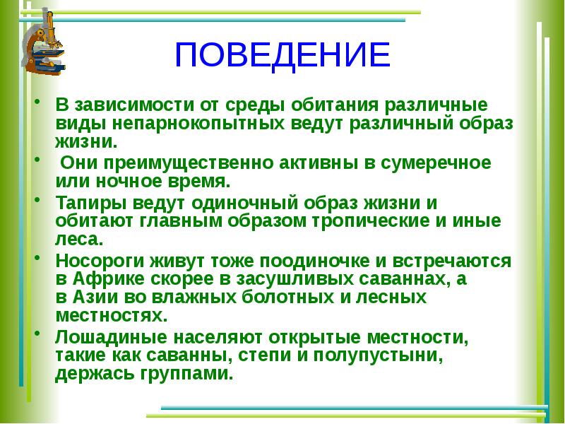 Презентация по биологии непарнокопытные