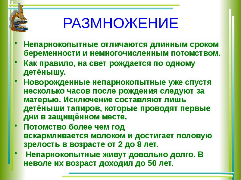 Отличаются длинной. Непарнокопытные презентация. Особенности размножения непарнокопытных. Непарнокопытные характеристика. Особенности непарнокопытных.