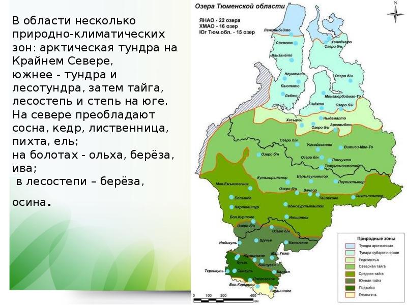 Карта тюменская область и курганская область