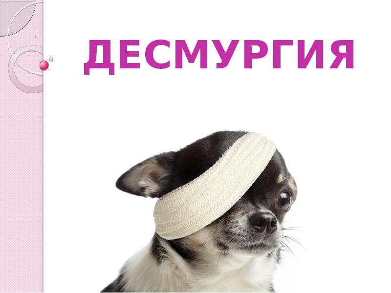 ДЕСМУРГИЯ ДЕСМУРГИЯ