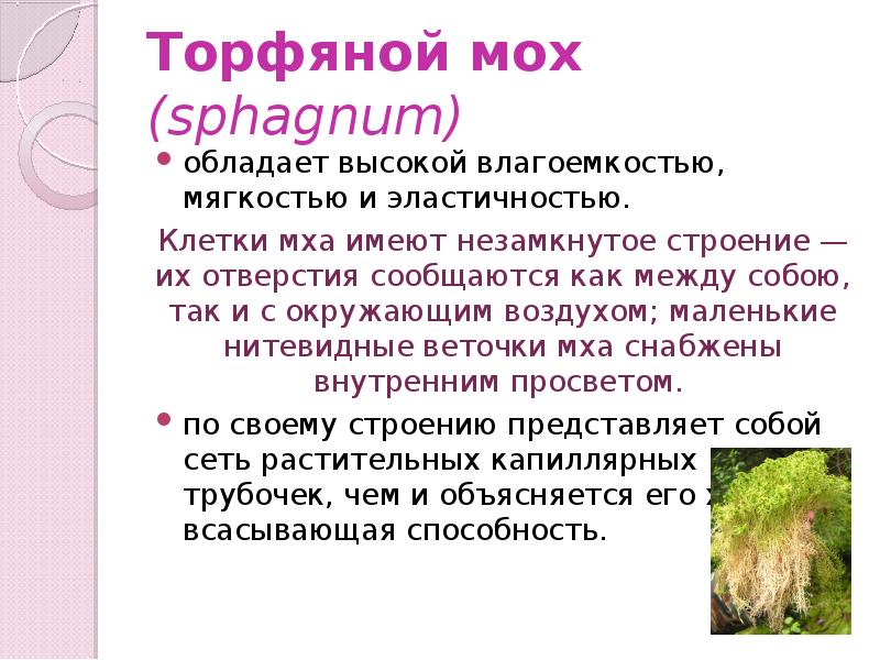 Торфяной мох (sphagnum)
обладает высокой влагоемкостью, мягкостью и эластичностью.
Клетки мха Торфяной мох (sphagnum)
обладает высокой влагоемкостью, мягкостью и эластичностью.
Клетки мха