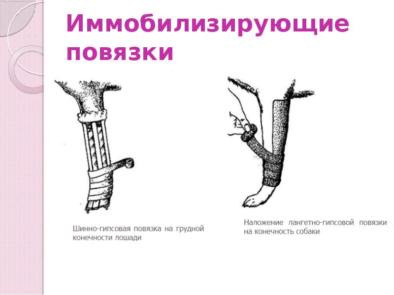 Десмургия презентация по хирургии