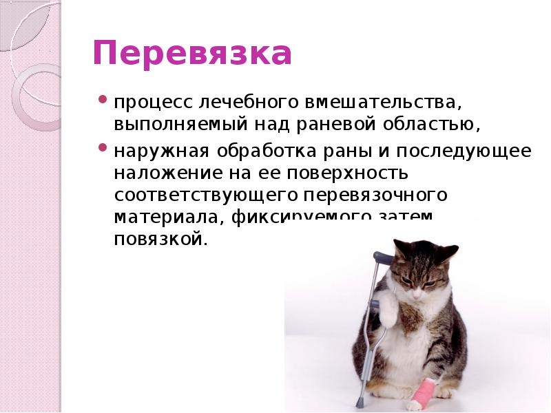 Перевязка
процесс лечебного вмешательства, выполняемый над раневой областью,
наружная обработка раны и Перевязка
процесс лечебного вмешательства, выполняемый над раневой областью,
наружная обработка раны и