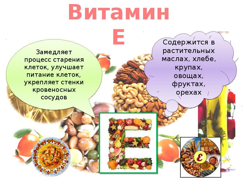 Проект по технологии 5 класс питание и здоровье человека