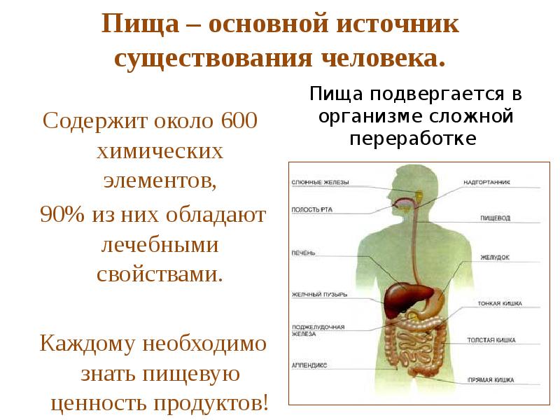 Содержимое человека