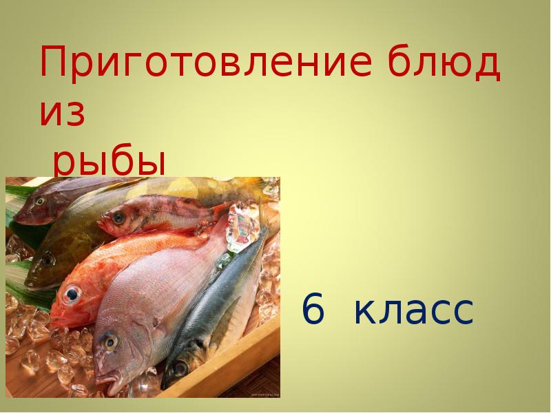 Микробиология рыбных продуктов презентация