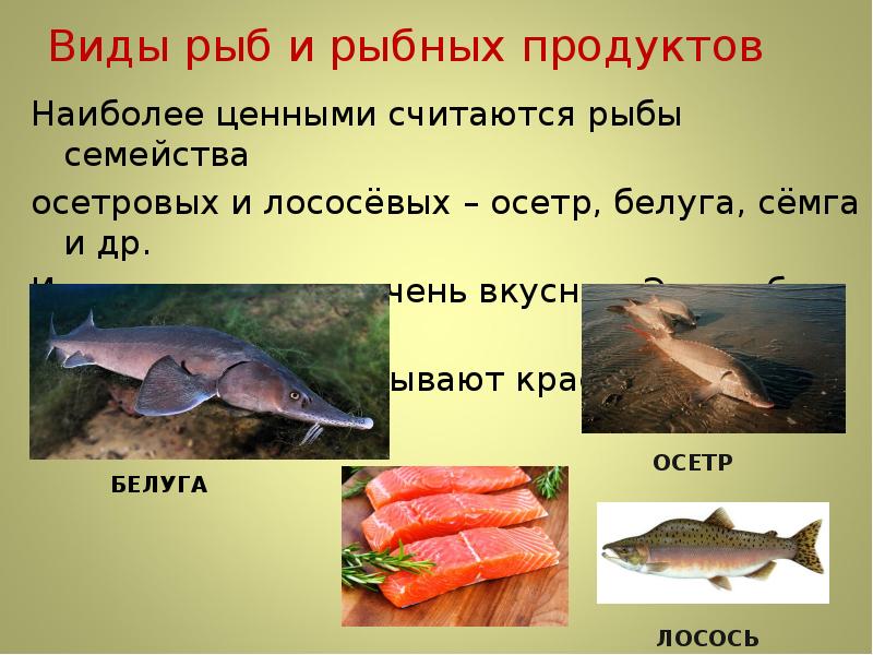 Осетровые и лососевые рыбы