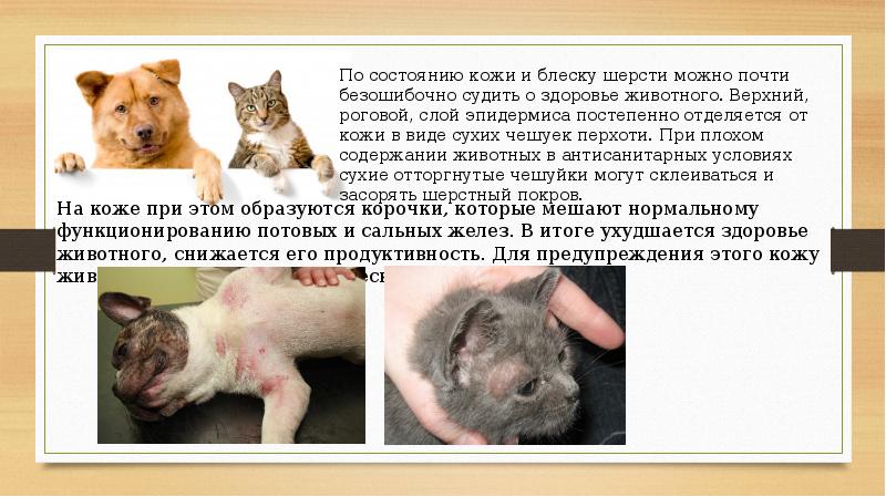 На коже при этом образуются корочки, которые мешают нормальному функционированию потовых