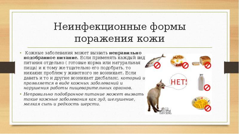 Неинфекционные формы поражения кожи  Кожные заболевания может вызвать неправильно подобранное