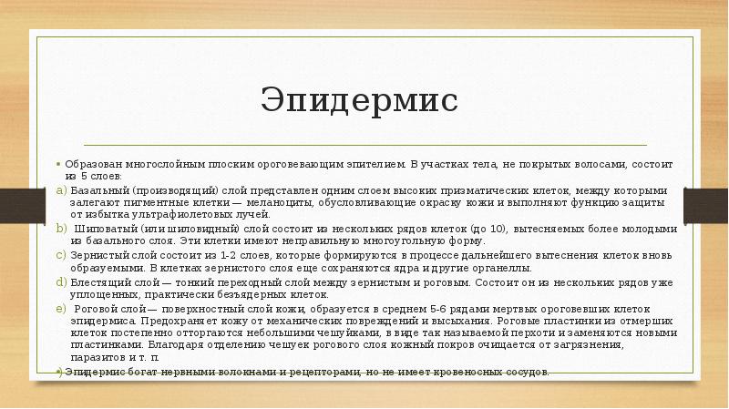 Эпидермис  Образован многослойным плоским ороговевающим эпителием. В участках тела, не