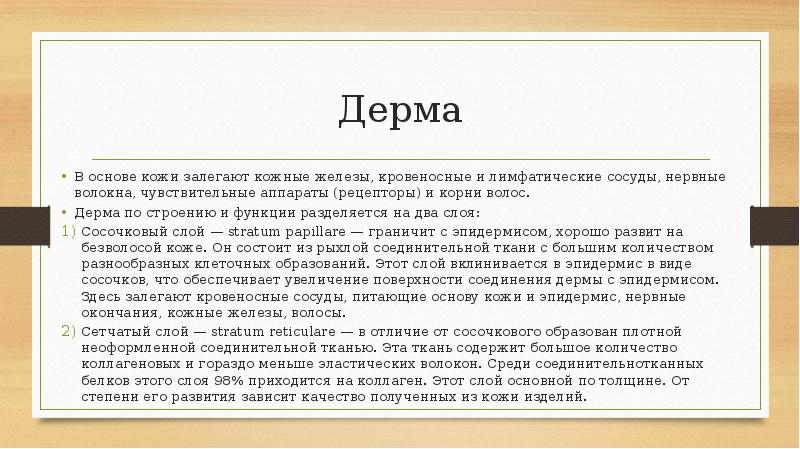 Дерма В основе кожи залегают кожные железы, кровеносные и лимфатические сосуды,