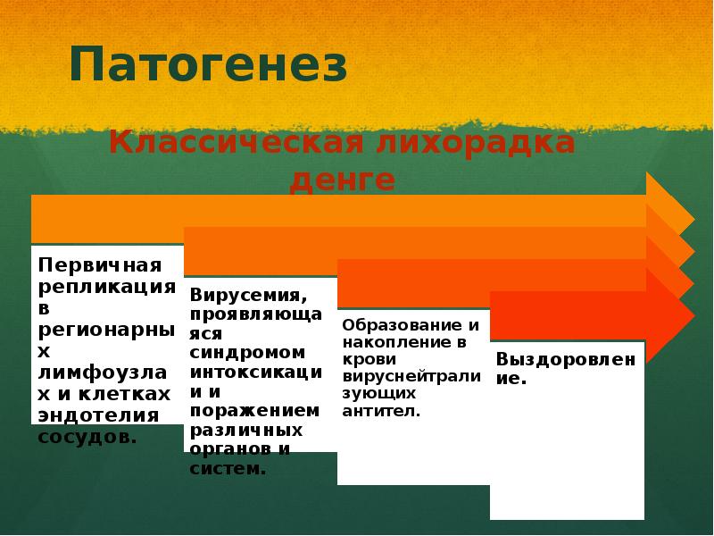 Геморрагическая лихорадка денге презентация