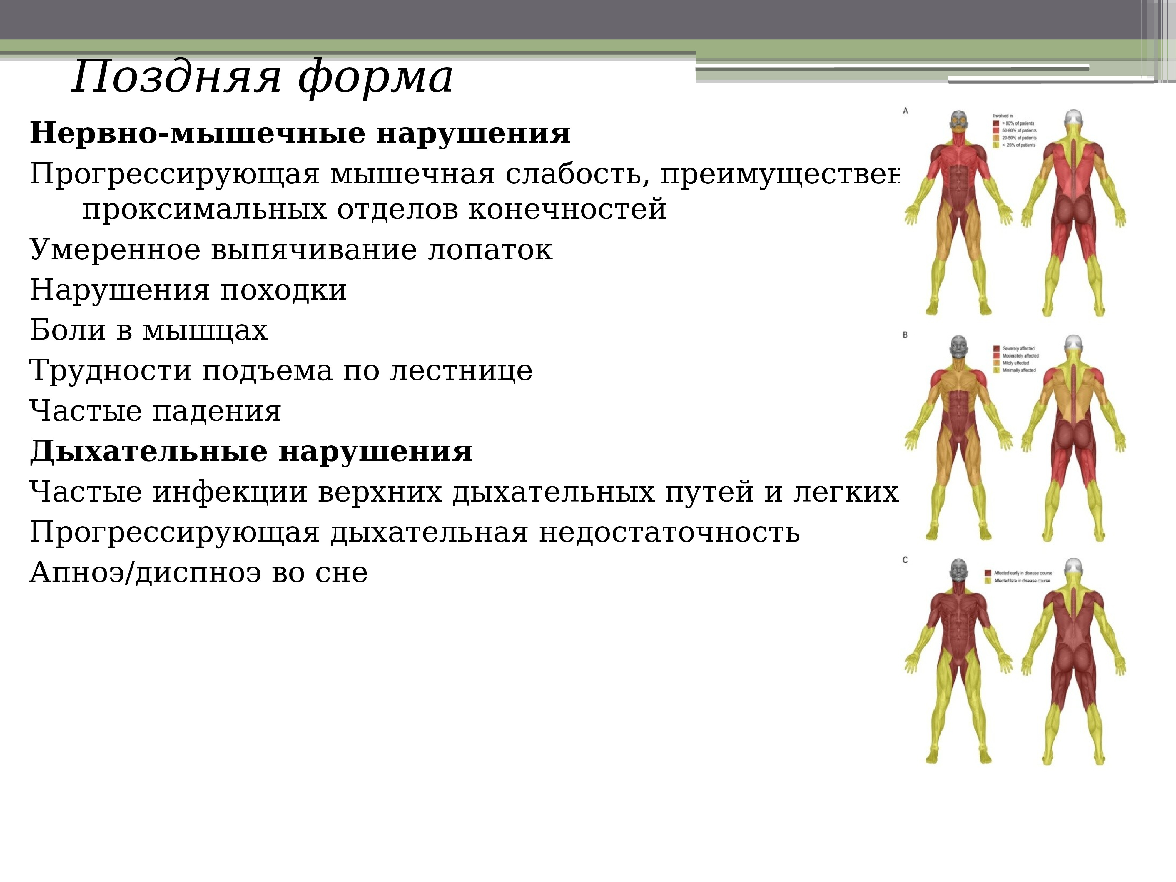 Болезнь ниманна пика картинки