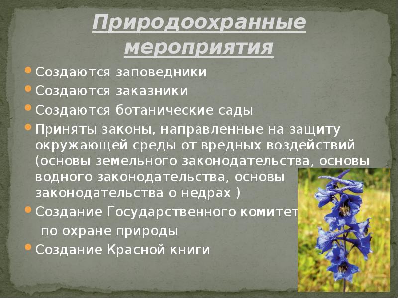 План охрана природы