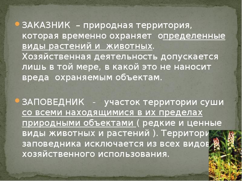 Использование растений для защиты окружающей. Влияние деятельности человека на растения. Влияние человека на растительный. Воздействие человека на растительный мир. Влияние человека на растительность.