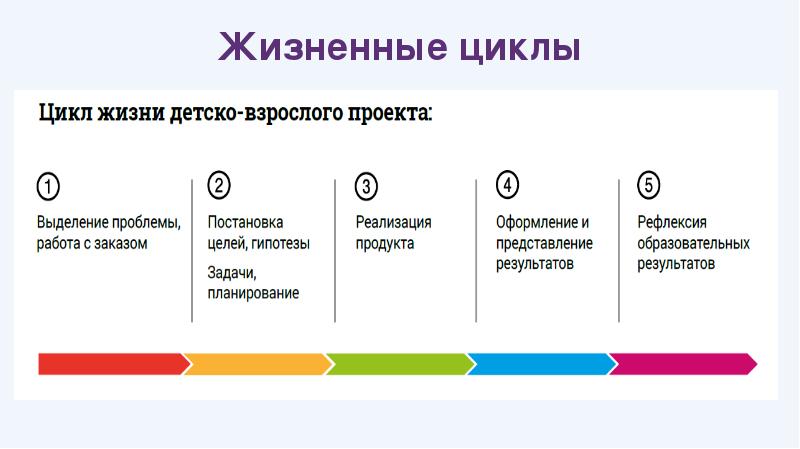 В жизненном цикле проекта тест