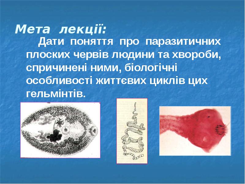Мета лекції:  		Дати поняття про паразитичних плоских червів людини та
