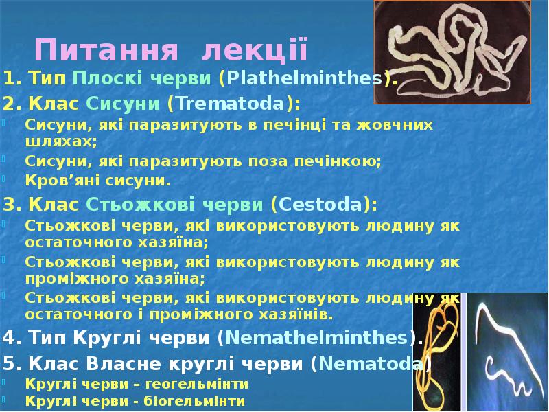 Питання лекції 1. Тип Плоскі черви (Plathelminthes). 2. Клас Сисуни (Trematoda):