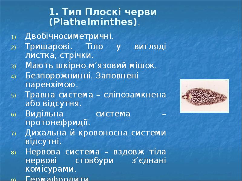 1. Тип Плоскі черви (Plathelminthes).   Двобічносиметричні. Тришарові. Тіло у