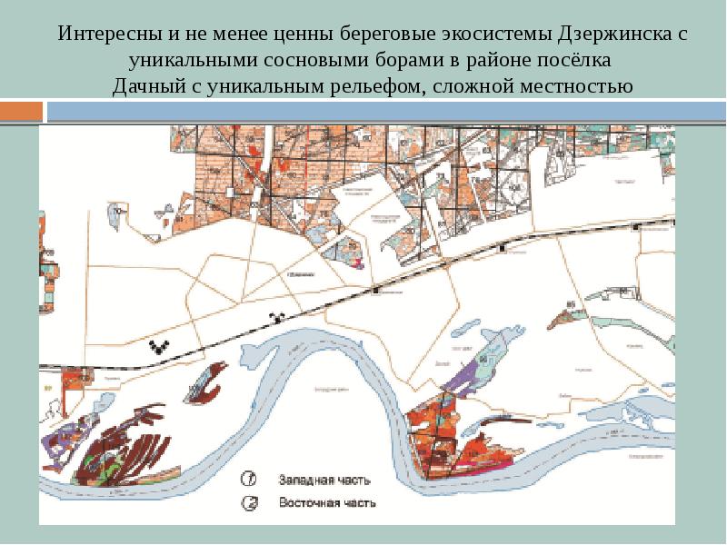 Природный комплекс местности по плану москва. План схема природного комплекса болото. Природный комплекс Нижнего Новгорода. Презентация о природном комплексе Нижнего Новгорода.