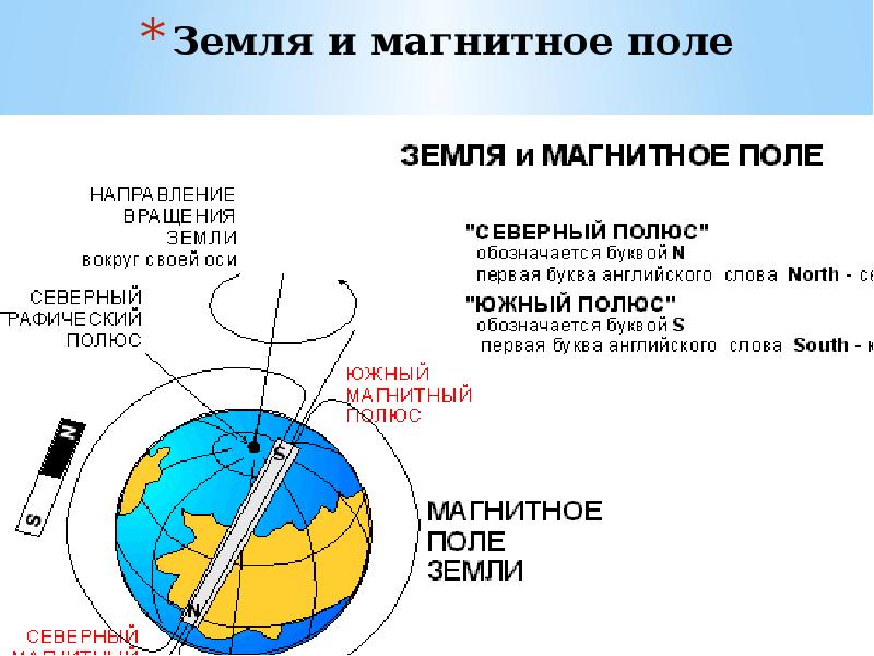 Поль полюс