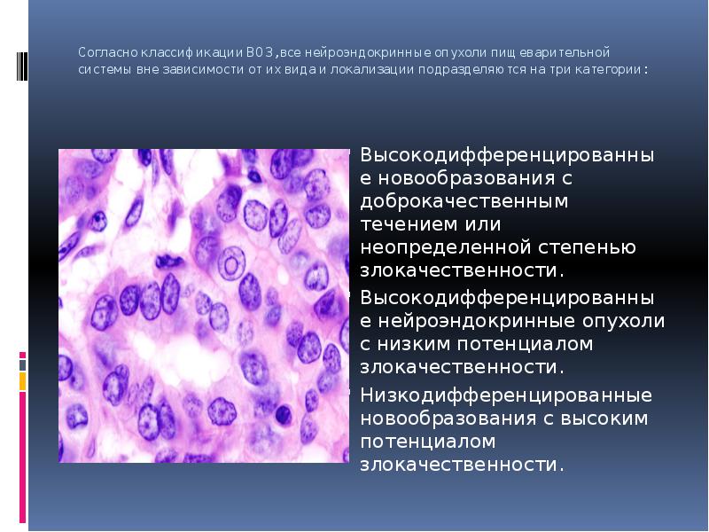 Спорт и нейроэндокринная система проект