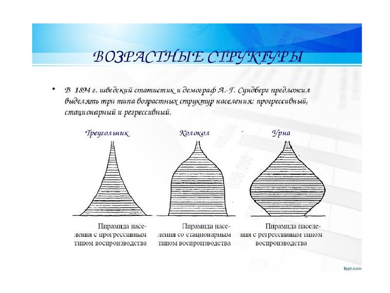 Возрастная структура общества презентация