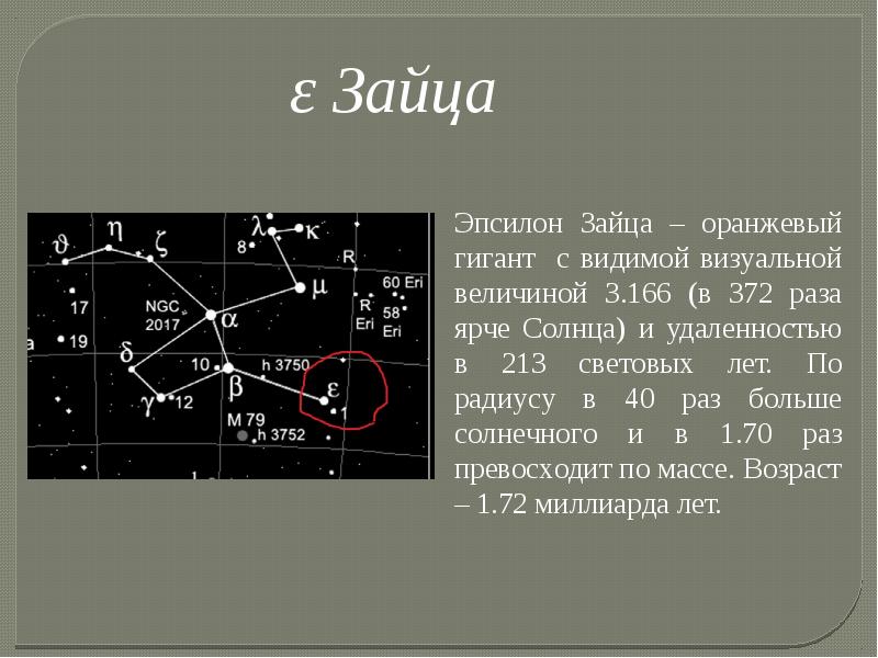 Созвездие заяц презентация