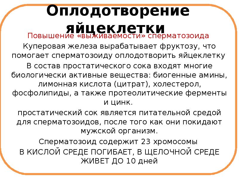 Когда выделяется предэякулят. Когда выделяется предэякулят