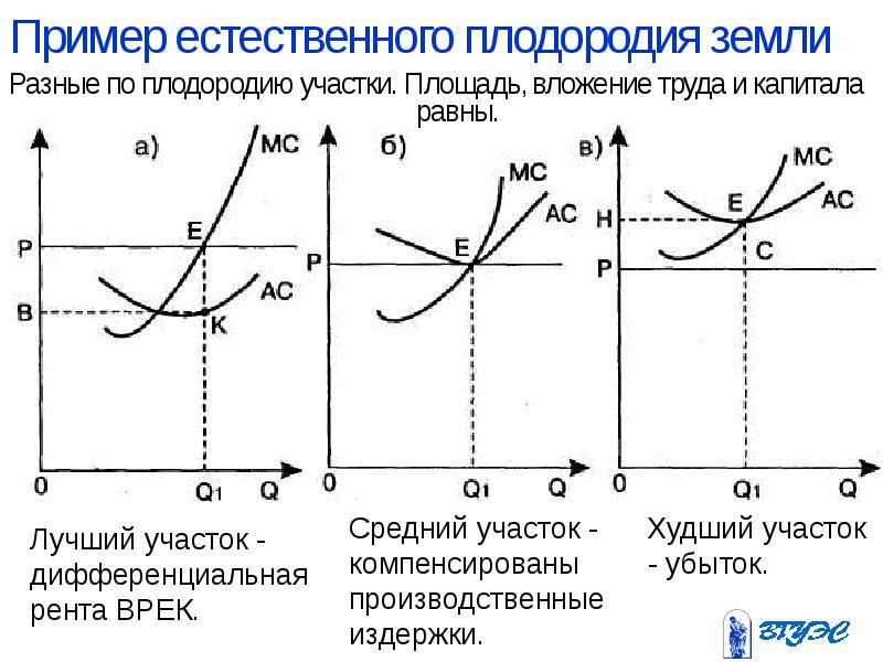 Рынок земли презентация