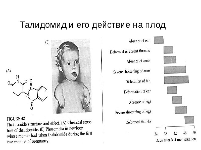 Талидомид. Талидомидовой трагедии. Талидомида, жертвы талидомида. Талидомид лекарство.