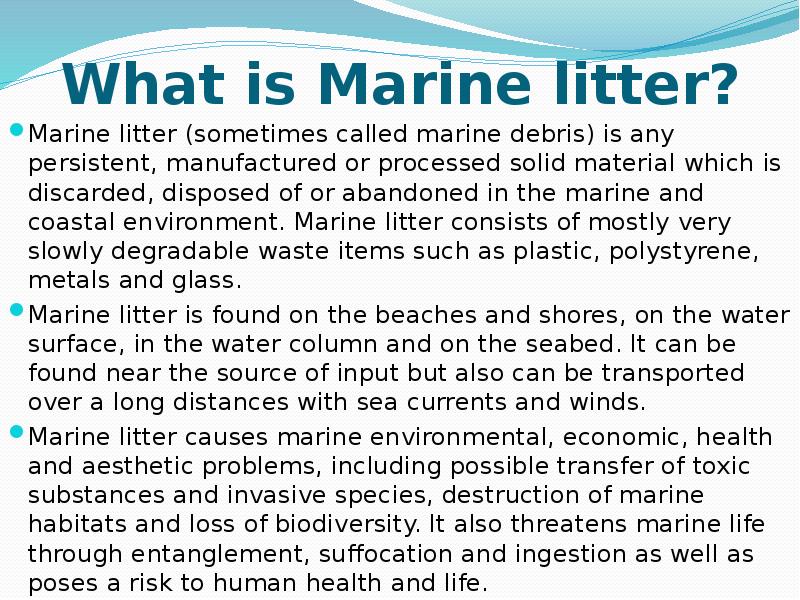 Marine litter презентация