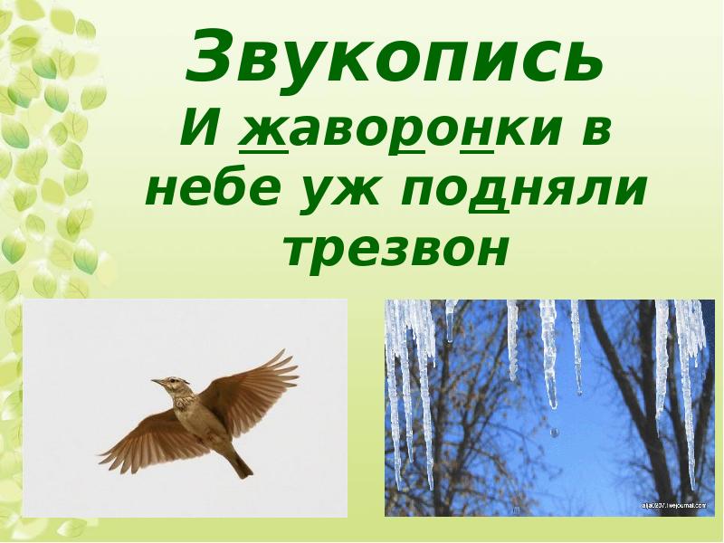 жаворонки прилетели. и все засуетилось все нудит зиму вон и жаворонки. жаворонки в небе. рисунок жаворонки в небе уж подняли трезвон. и жаворонки в небе уж подняли трезвон.